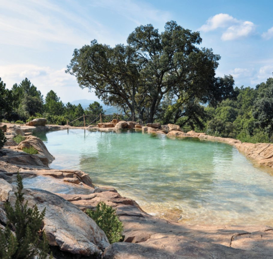 Piscines paysagées : notre savoir faire inspiré par la nature