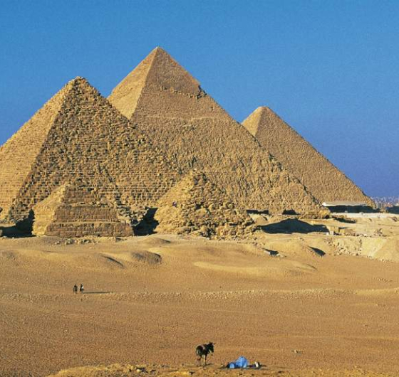 La réalisation des pierres reconstituées : des faux rochers plus vrai que nature…