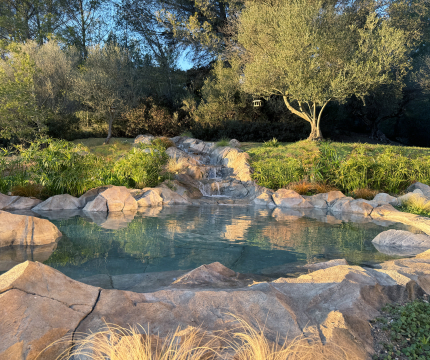 Piscine naturelle en faux rochers hauts de gamme