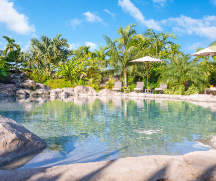 Piscine nature en fausses roches