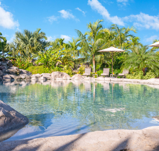Piscine de luxe, cascades, rivières, bassins et jeux d'eau plus vrai que nature