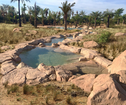 Cascade pour piscine en faux rochers