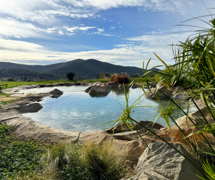 Piscine originale en faux rochers