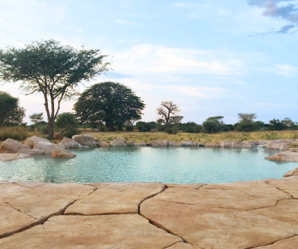 Piscine sauvage en rochers artificiels