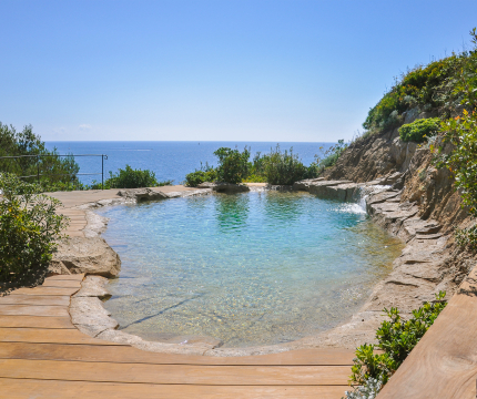 Piscine écologique