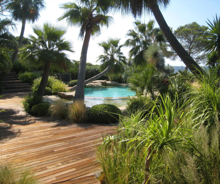 Piscine paysagée
