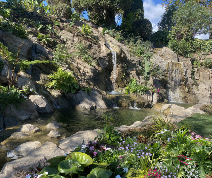 Bassin avec cascade en faux rochers