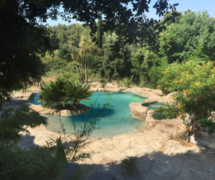 Piscine nature