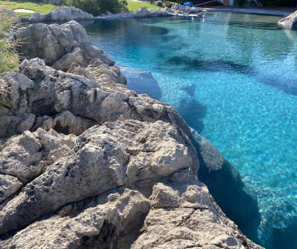 Faux rochers piscine