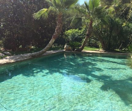 Piscine naturelle