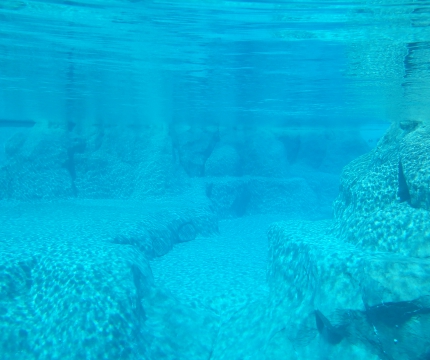 Fond de piscine en rochers artificiels