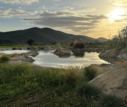 Piscine paysagée en rochers reconstitués