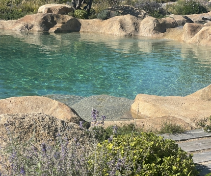 Bassin sauvage